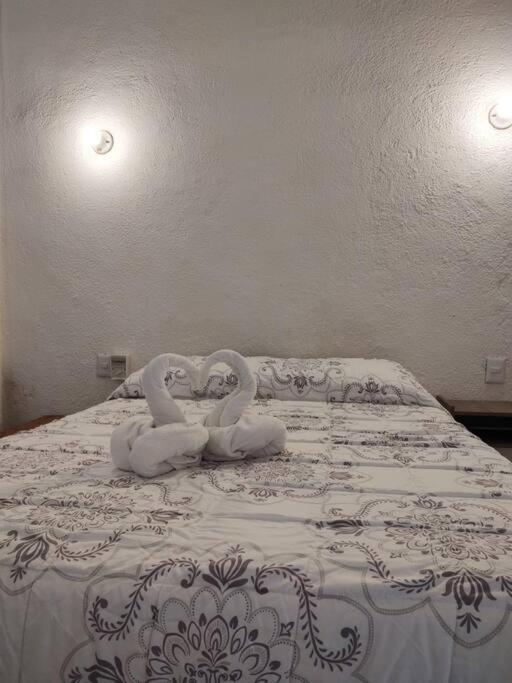Small Studio Apt 5Min To Dt! 지와타네호 외부 사진