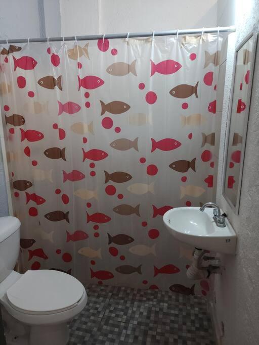 Small Studio Apt 5Min To Dt! 지와타네호 외부 사진